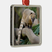 Ringschwanzcoati auf Zweig Ornament Aus Metall (Rechts)