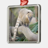 Ringschwanzcoati auf Zweig Ornament Aus Metall (Links)