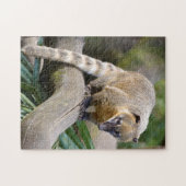 Ringschwanzcoati auf Zweig Puzzle (Horizontal)