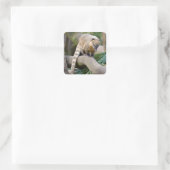 Ringschwanzcoati auf Zweig Quadratischer Aufkleber (Tasche)