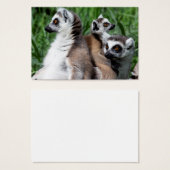 Ringschwanzfamilie Lemur (Vorne & Hinten)