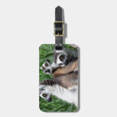 Ringschwanzfamilie Lemur Gepäckanhänger (Vorderseite vertikal)