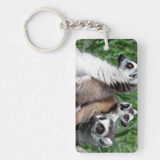 Ringschwanzfamilie Lemur Schlüsselanhänger (Vorderseite)