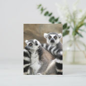 Ringschwanzfreunde Postkarte (Stehend Vorderseite)