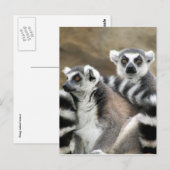 Ringschwanzfreunde Postkarte (Vorne/Hinten)