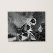 Ringschwanzknechtschaft mit Wassermelone Puzzle (Horizontal)