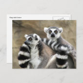 Ringschwanzlei Postkarte (Vorne/Hinten)