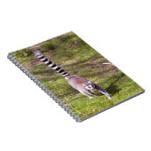 Ringschwanzlemmeln auf Gras Notizblock (Rechte Seite)