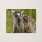 Ringschwanzlemmeln (Lemur catta) Mutter & Baby. Puzzle (Horizontal)
