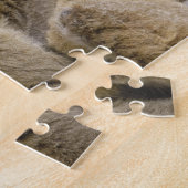 Ringschwanzlemmeln (Lemur catta) Mutter & Baby. Puzzle (Seite)