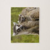 Ringschwanzlemmeln (Lemur catta) Mutter & Baby. Puzzle (Vertikal)