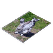 Ringschwanzlemmersitze auf der Graspostkarte T-Shi Notizblock (Linke Seite)