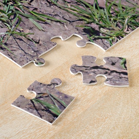 Ringschwanzlemmersitze auf der Graspostkarte T-Shi Puzzle (Seite)