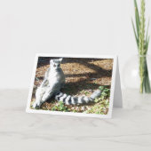 Ringschwanzlemmur mit überkreuzten Legs Karte (Vorderseite)