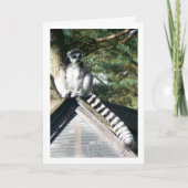 Ringschwanzlemur am Dach Karte (Vorderseite)