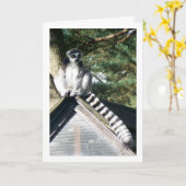 Ringschwanzlemur am Dach Karte (Gelbe Blume)