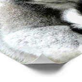 Ringschwanzlemuren Poster (Ecke)