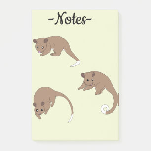 Ringschwanzpossums Post-it Klebezettel