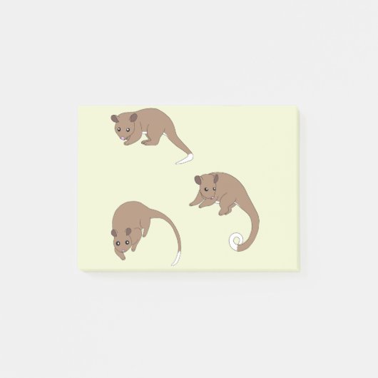 Ringschwanzpossums Post-it Klebezettel (Vorderseite)