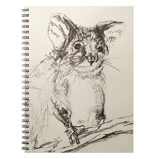 Ringtail Possum Australien Notizblock (Vorderseite)