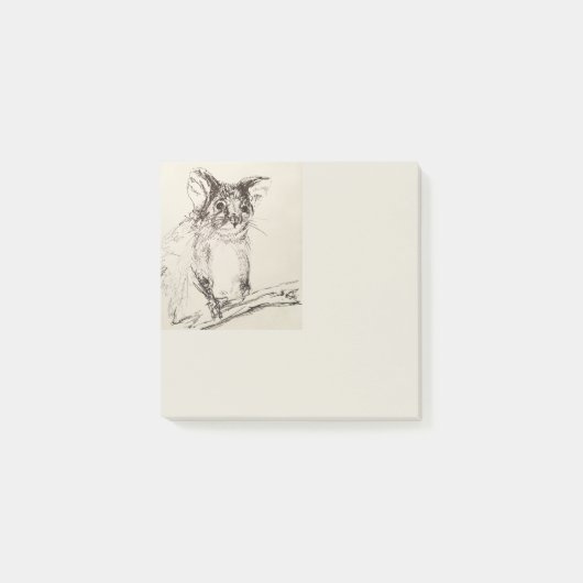 Ringtail Possum Australien Post-it Klebezettel (Vorderseite)