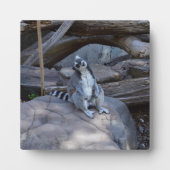 Ringtail Possum Foreman at Work Fotoplatte (Vorderseite)