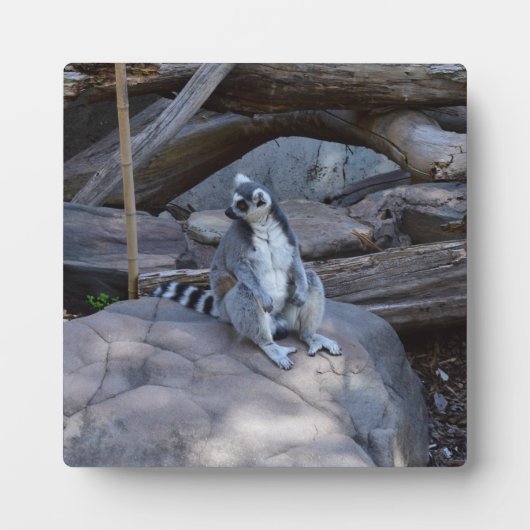 Ringtail Possum Foreman at Work Fotoplatte (Vorderseite)