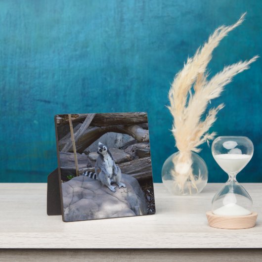 Ringtail Possum Foreman at Work Fotoplatte (InSitu)