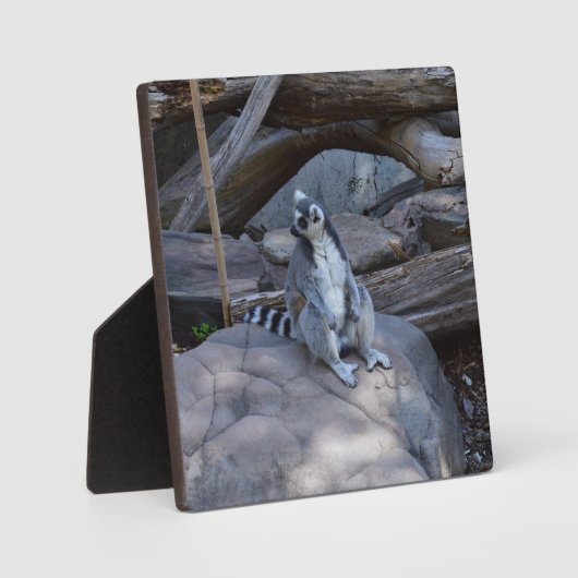 Ringtail Possum Foreman at Work Fotoplatte (Vorderseite)