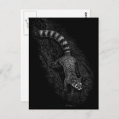 Ringtail Postkarte (Vorne/Hinten)
