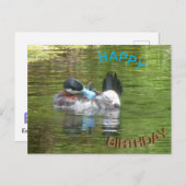 Ringtaling Duck Happy Birthday Postcard Postkarte (Vorne/Hinten)