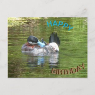 Ringtaling-Ente Frohen Geburtstag Postkarte