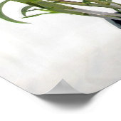 Rinnapa Dendrobium Orchid Pflanze Poster (Ecke)