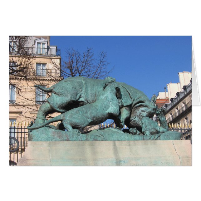 Rino (Vorderseite (Horizontal))