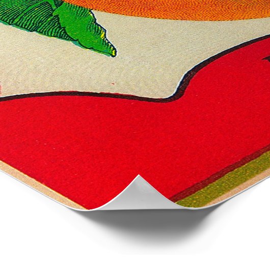 Rio Apricot Label Poster (Ecke)