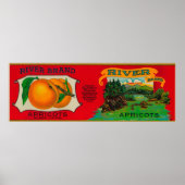 Rio Apricot Label Poster (Vorne)