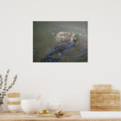 Río Catfish und Turtle Poster (Küche)