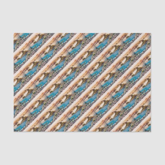 Rio De Janeiro Cityscape View Seidenpapier (Vorderseite)