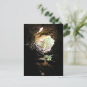 Rio Frio Cave Postcard Postkarte (Stehend Vorderseite)