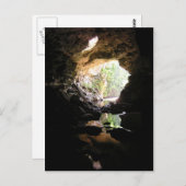 Rio Frio Cave Postcard Postkarte (Vorne/Hinten)
