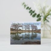 Rio Frio River Concan Texas Garner Staat Park Postkarte (Stehend Vorderseite)