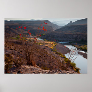 Rio Grande, der durch die Chihuahuan-Wüste fließt Poster