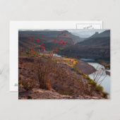Rio Grande läuft durch die Chihuahuan-Wüste Postkarte (Vorne/Hinten)