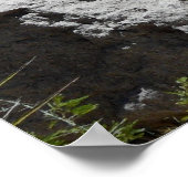 Rio Grande River-Texas Poster (Ecke)