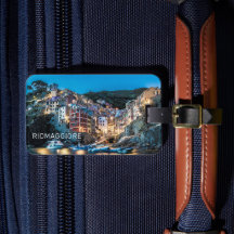 Riomaggiore Cinque Terre La Spezia Italien Panoram