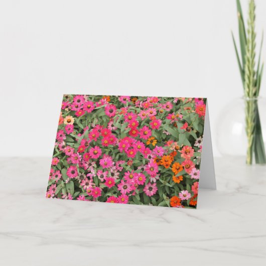 Riotious Pink Karte (Vorderseite)