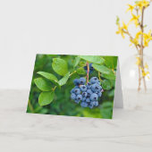 Ripe Blueberries Karte (Gelbe Blume)