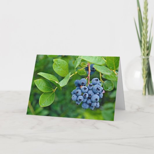 Ripe Blueberries Karte (Vorderseite)