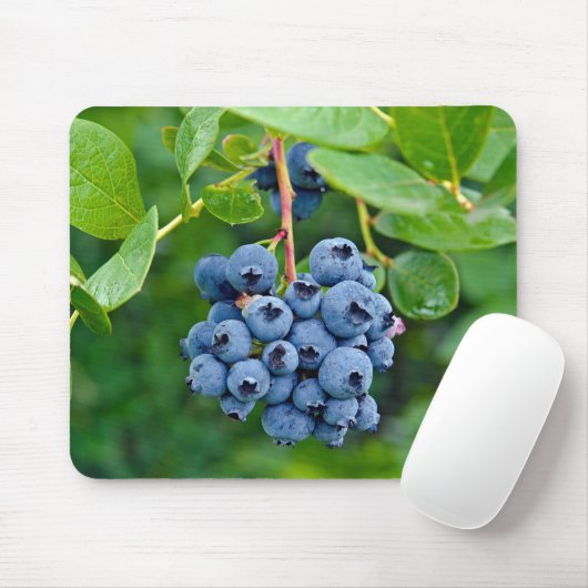 Ripe Blueberry Bush Mouse Pad Mousepad (Mit Mouse)