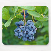 Ripe Blueberry Bush Mouse Pad Mousepad (Vorne)